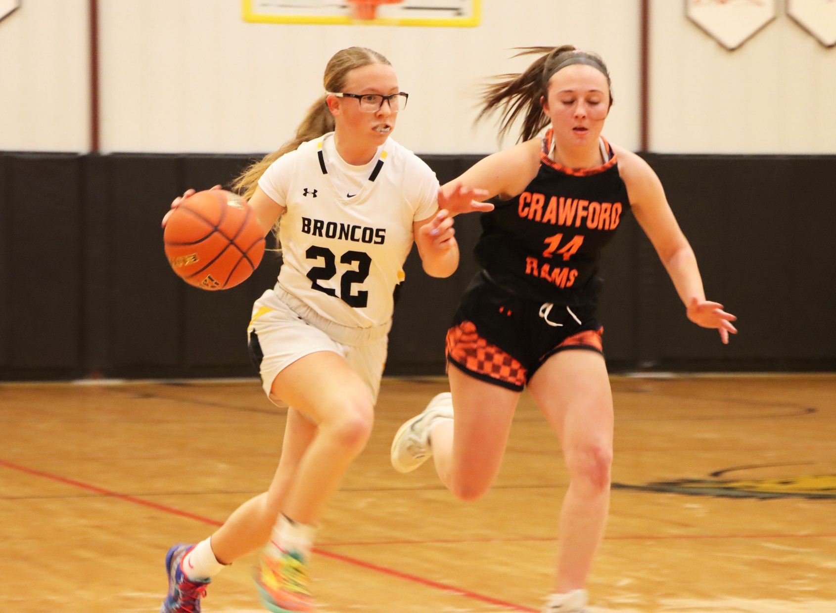 Riley Hegland brings the ball up the court last Friday in the subdistrict final game against Crawford. Carolee Brown Photography