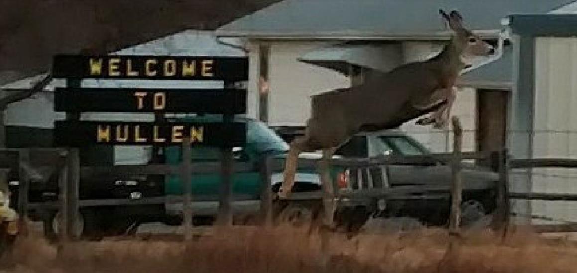 Welcome to Mullen!