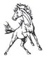 Bronco fundraiser to begin April 12