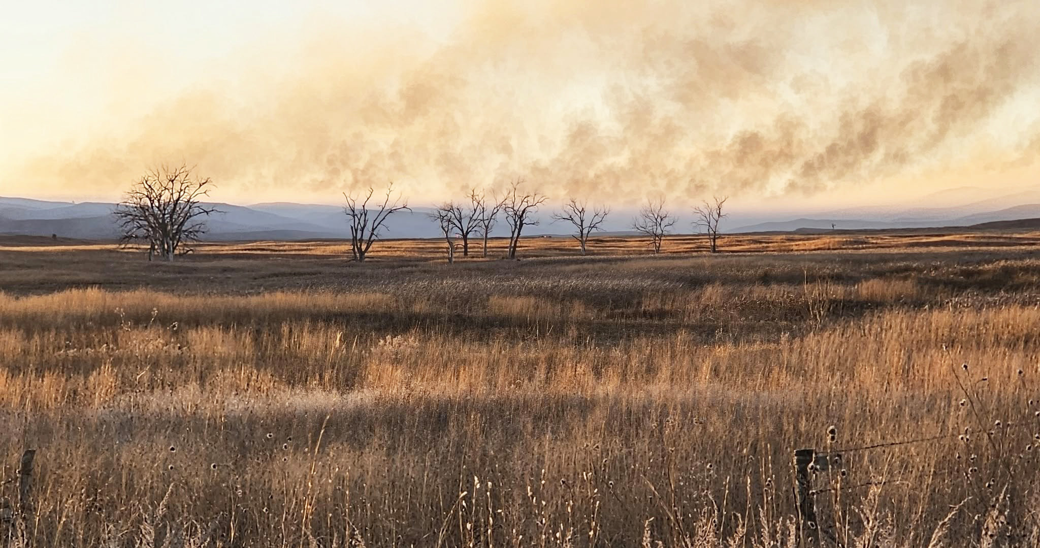 Despite little wind, last week’s fire still moved quickly. Todd Yost