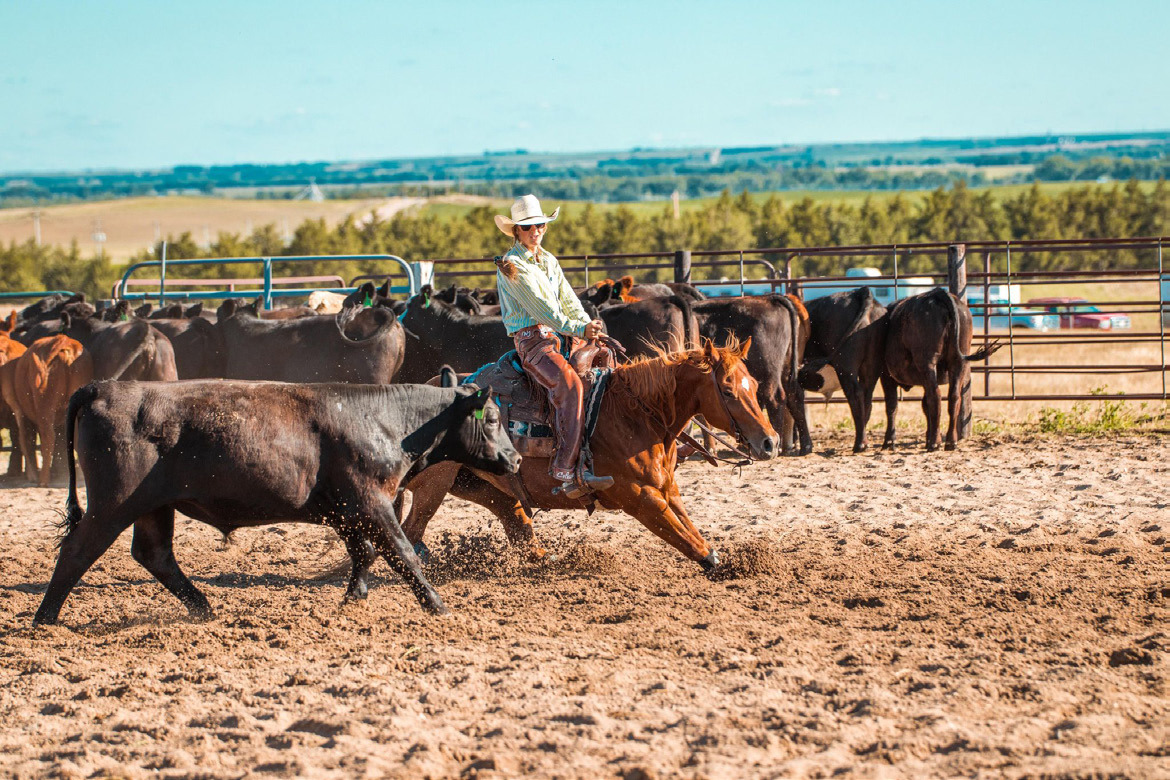 Whitney Jennings competing in the Bassett cutting. Bar A Bar Photography - Hayden Jennings