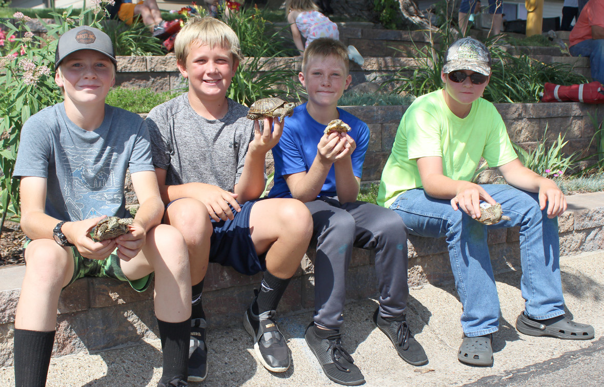 L-r: Jedd Kraus, Caleb Deibler, Gus Wingebach and Justin Kraus ready to race their turtles. Gerri Peterson