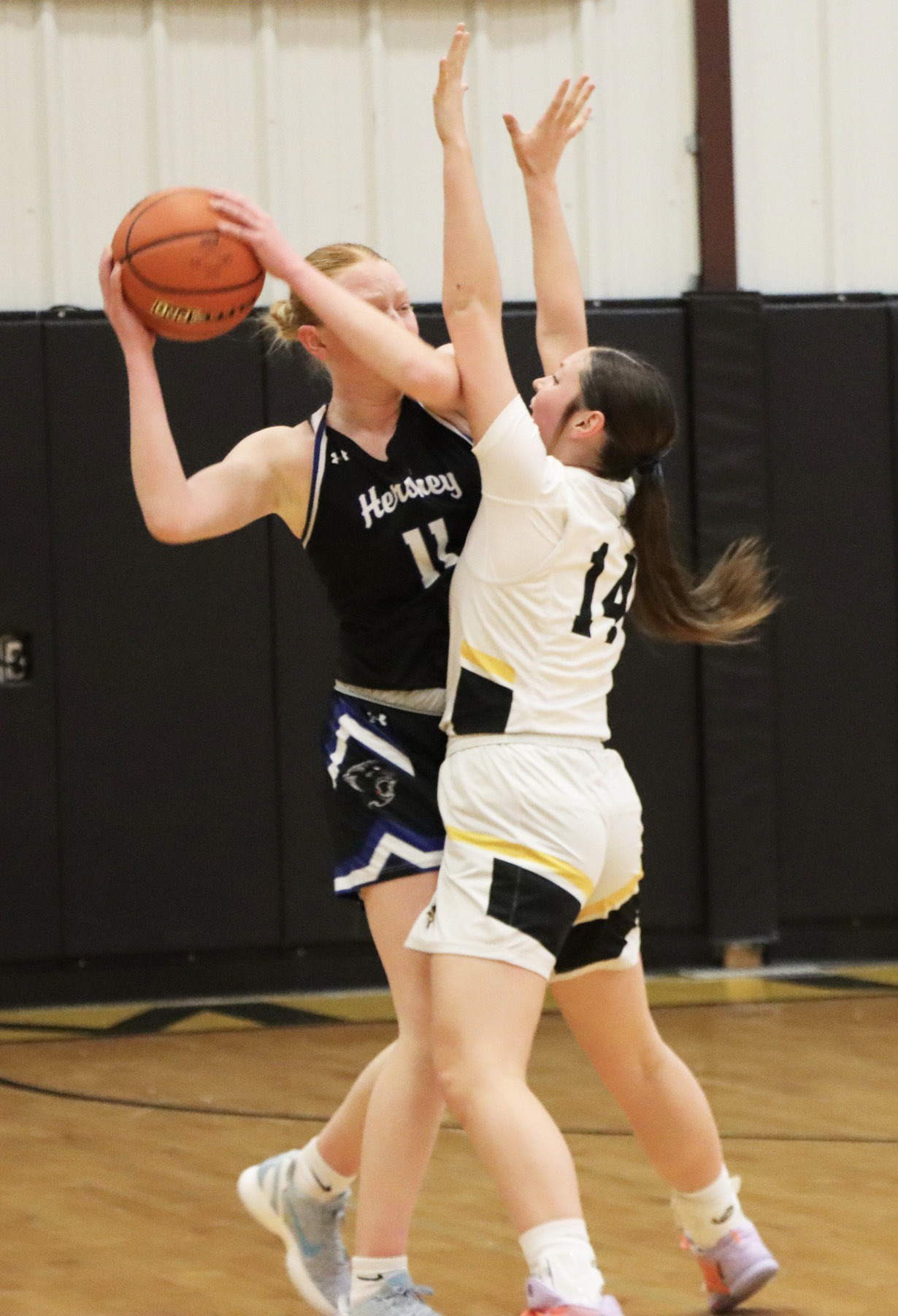 Kalli Licking plays defense last Friday against Hershey. Sue Licking