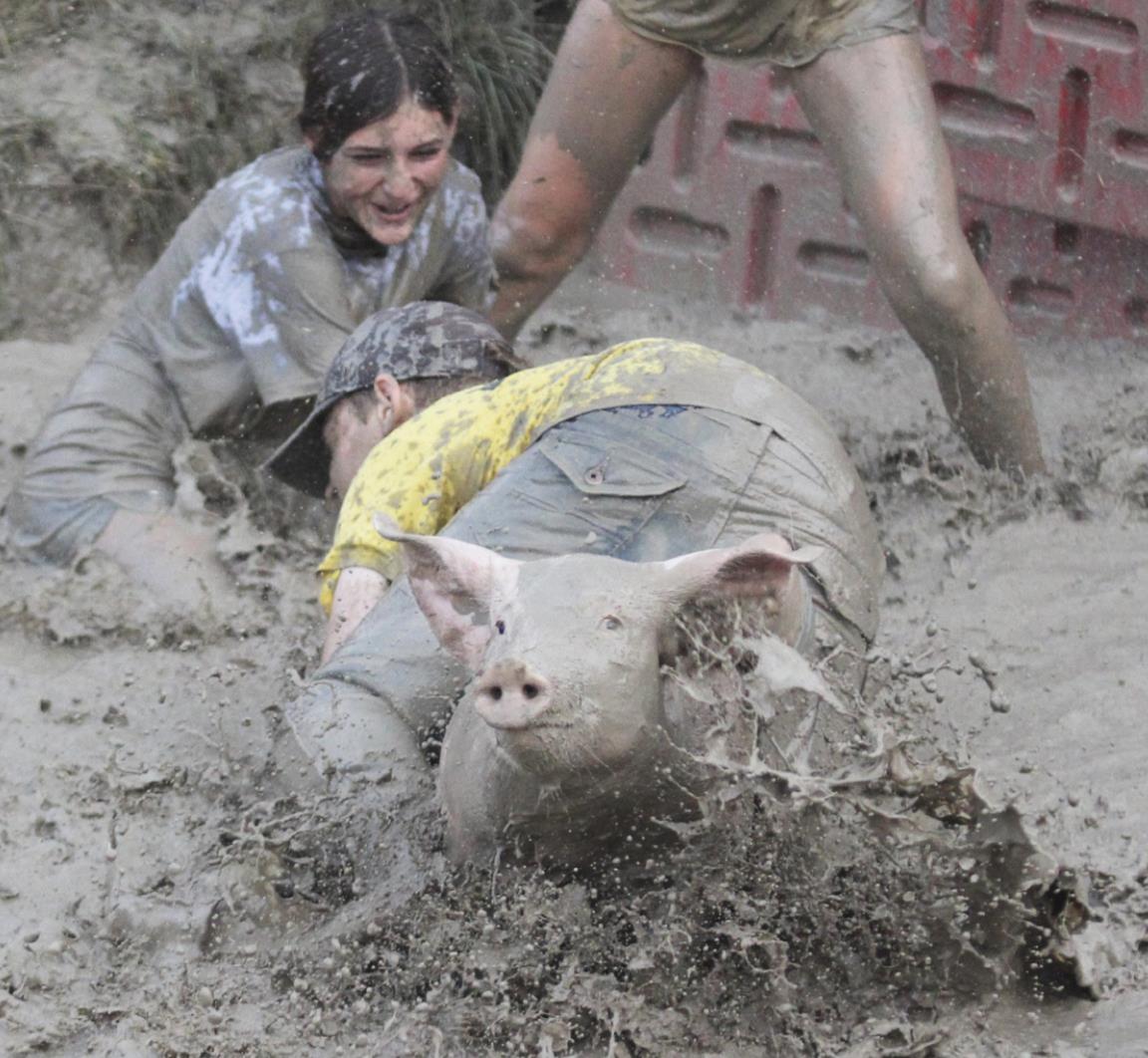 This pig managed to escape first Ella Homan, and then Daniel Wright through his legs! Gerri Peterson