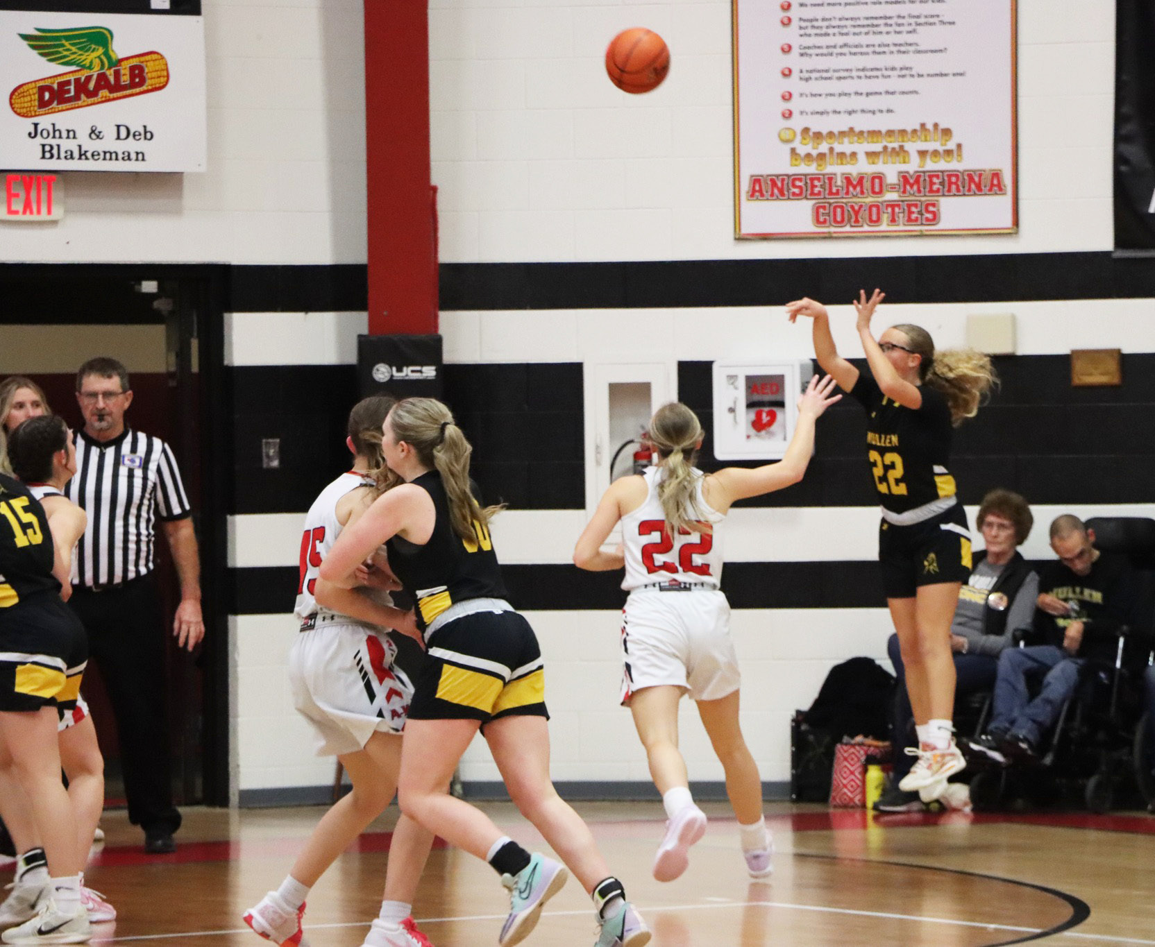 Riley Hegland puts up a three-point shot at Merna. Sue Licking