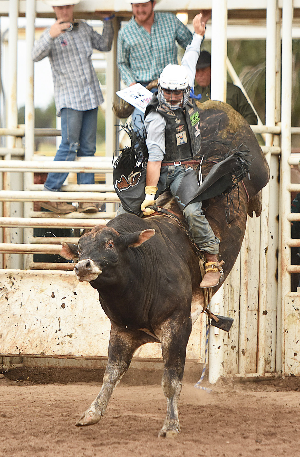Jeffery Forsen competes in the bull riding during the second round of the Mid-States Rodeo Association Finals. Steve Moseley