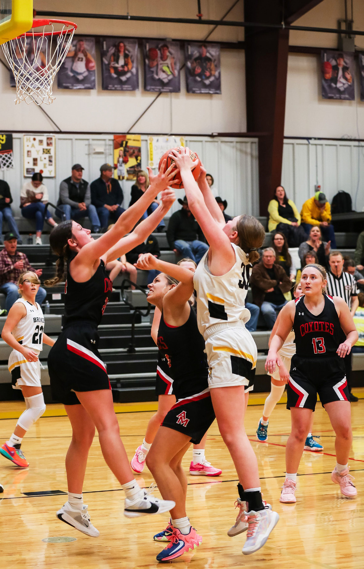 Hayley Donohoe fights for a rebound against Anselmo-Merna. Megan Andersen