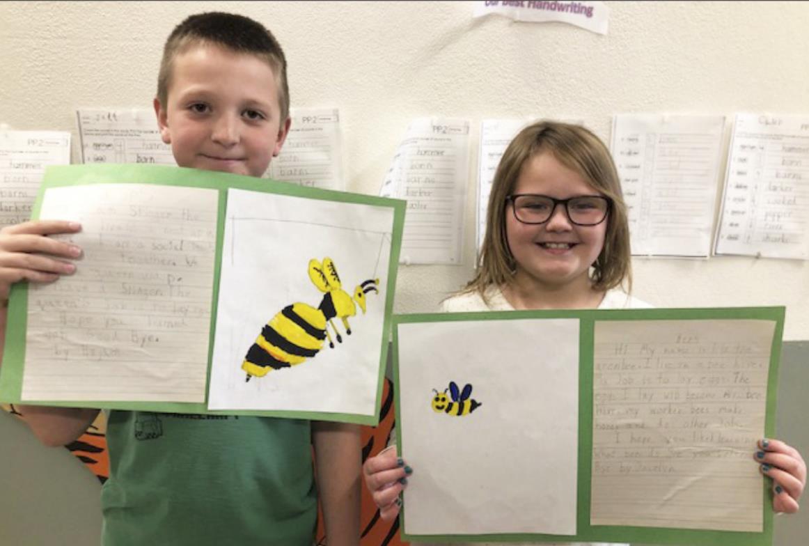 Second graders study insects