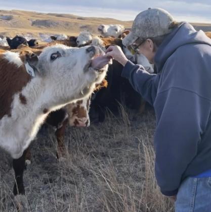 Sheila Shavlik doing some hand feeding! Kendra Thorberg