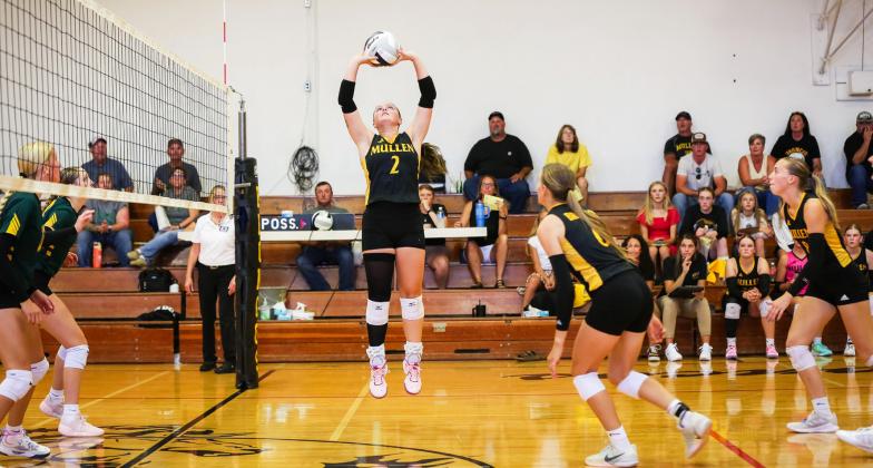Senior setter Kalli Licking in action last week at the Mullen volleyball triangular. Due to construction at the Hilltop Gym, the games were held at the Lariat. Megan Andersen