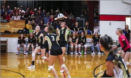 All eyes in the gym at Tryon were on the ball as Kalli Licking sets for the Broncos last Thursday. Megan Andersen