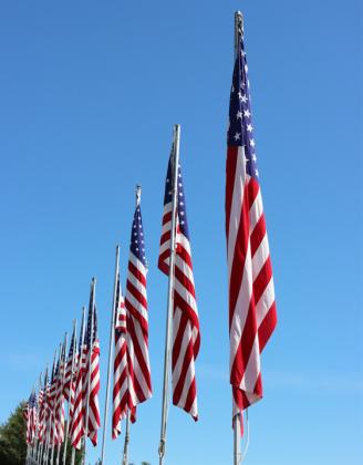 Flags fly at Cedarview Cemetery for Memorial Day