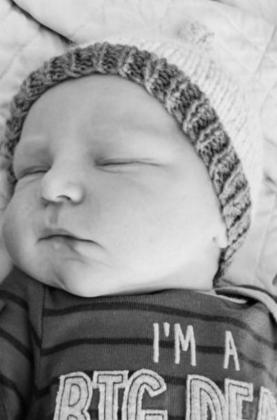 Aiden Lloyd Stichka