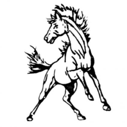 Broncos win Paxton Holiday Tournament