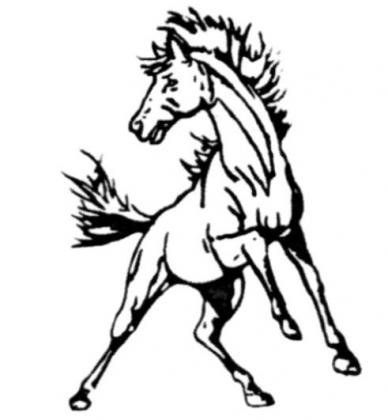Broncos open basketball season 1-1