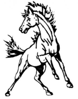 Six Broncos qualify for State Wrestling
