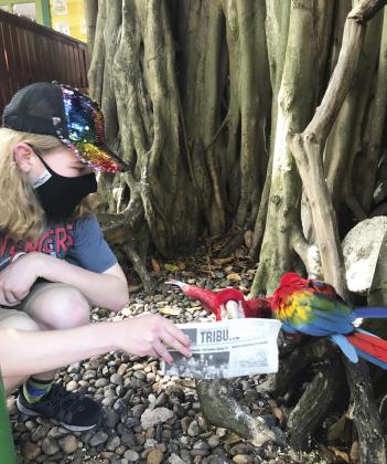 Stuart Champion in Colombia.