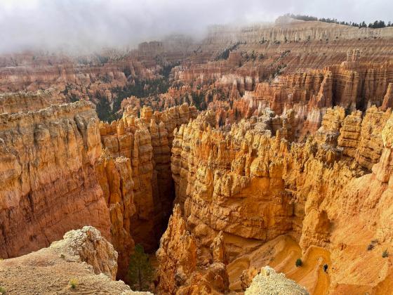 The fog did burn off, and Bryce Canyon is breath-taking.