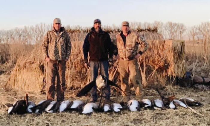 Brothers Jeremy, Clint and Jay Holthus stacking up the geese.