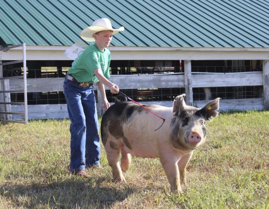 “Ain’t Nothing Like a Good Old County Fair!”