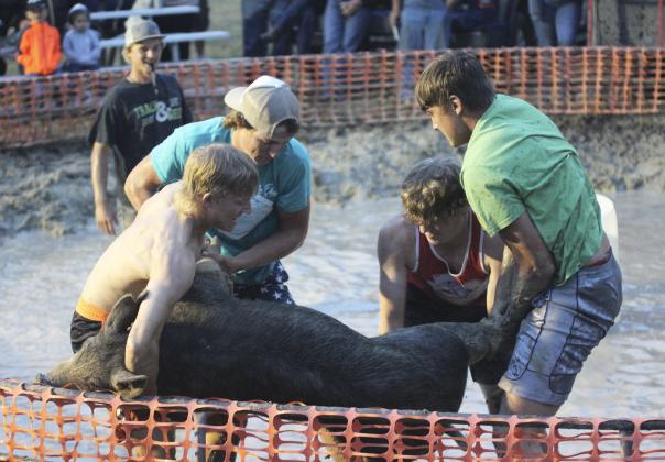 “Ain’t Nothing Like a Good Old County Fair!”