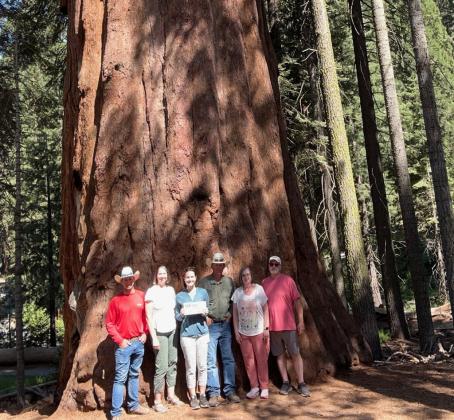California’s Sequoia National Park was another the Simonsons visited on their summer road trip. Pictured l-r: Sean, Liza, Ashlyn and Aaron Simonson and Ginny and Larry Haynes.