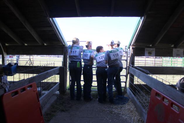 2025 Hooker County Fair