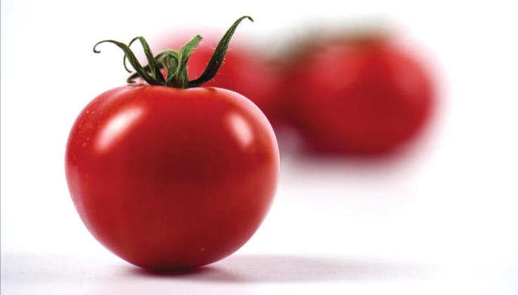 How to freeze tomatoes