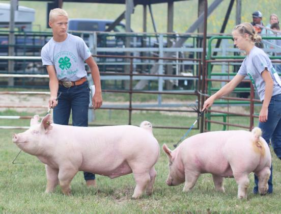 Teal Peterson with his Overall Grand Champion Swine and Addison Plummer and her Overall Reserve Champion Swine. Gerri Peterson