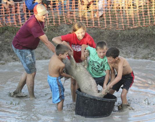 With a little assistance from Lance Moore, Tru Mundorf, Adaline Ardnt, Bronson Ardnt and Brandt Mundorf get their pig into the barrel last Saturday. Gerri Peterson