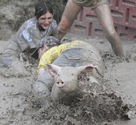 Gerri Peterson placed 3rd in all class News Photo of the Year in the Nebraska Press Association’s Better Newspaper Contest with this photo. The photo was taken last August during the Hooker County Fair and had this cutline when it ran in the Aug. 12 issue: This pig managed to escape first Ella Homan, and then Daniel Wright through his legs!