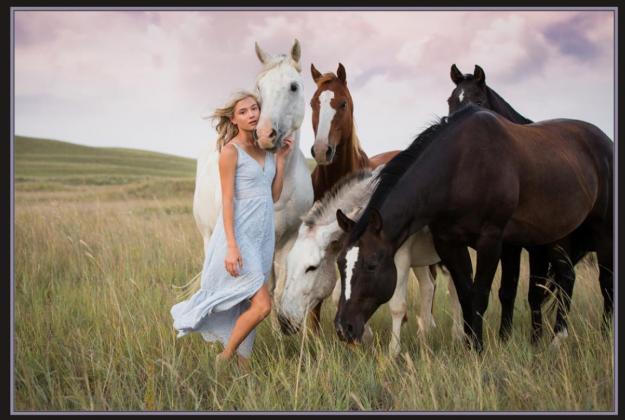 Megan Andersen Photography wins awards