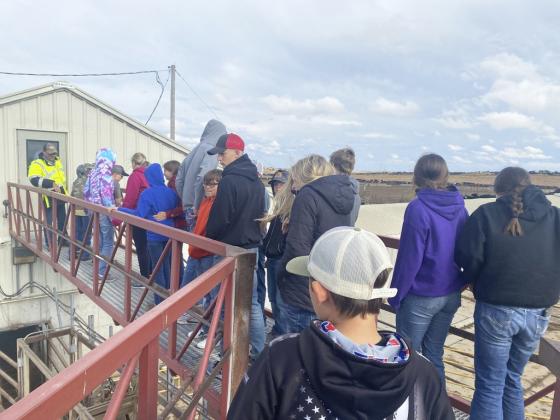 HAL students at Adams Land and Cattle.