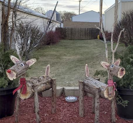Crisp wins Christmas Photo Contest