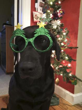 Scout Schoonveld celebrating Christmas Eve.