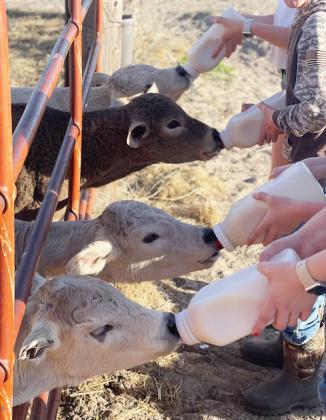 Tami Miller submitted this photo - “Happy Hour... Sandhills style!”