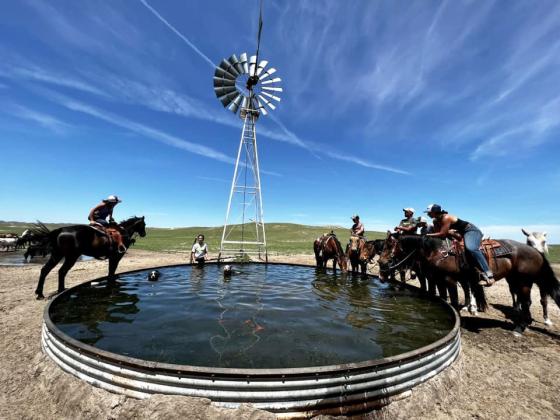 Carolee Brown submitted this photo of her husband Matt and their kids giving the horses - and dogs! a drink after a long cattle drive.