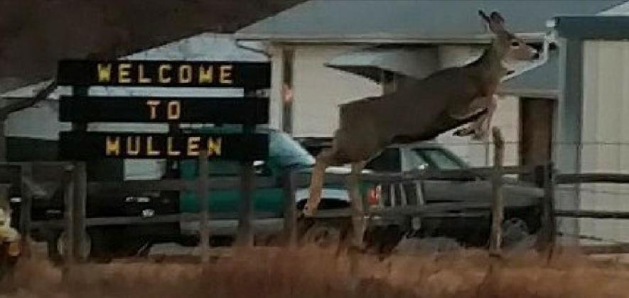 Welcome to Mullen!