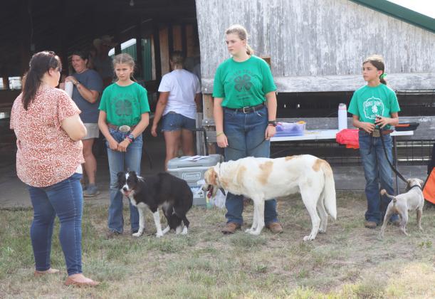 Small Animal Show judge Amanda Lott talks to Rainne O’Brien, Adelyn O’Brien and Finley Mundorf (pictured l-r). Gerri Peterson