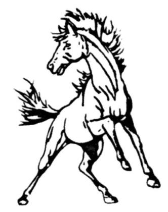 Broncos win at Twin Loup, struggle at Gordon-Rushville