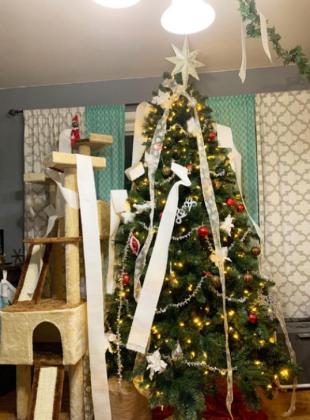 Elf on the Shelf Contest Jennifer Macke wins