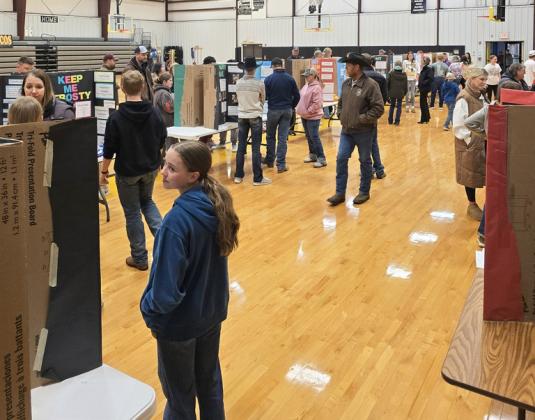 Maci Walz is overall Science Fair winner