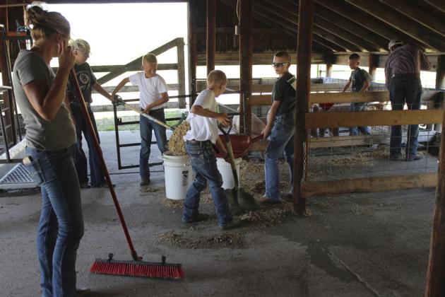 L-r: Nichole Ourada, Hope Miller, Teal Peterson, Weston Ourada, Oakes Miller, Duke Miller, Garrett Ourada - 4-H Livestock Show.