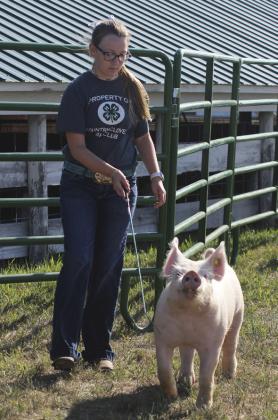 Hope Miller - 4-H Livestock Show.