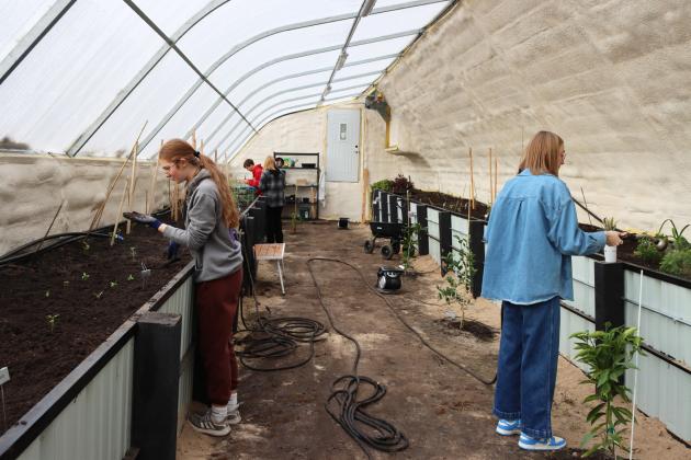 Botany students are pictured working with with Mrs. Hardin in the new geothermal greenhouse last Tuesday, Dec. 2, l-r: Lola Wingebach, Ben Werner, Mrs. Hardin and Sydnee Cheever. Gerri Peterson