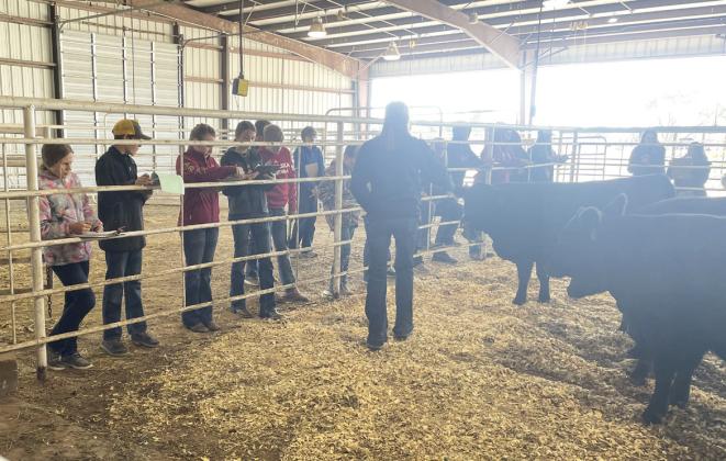 Mullen FFA competes at District Livestock Judging