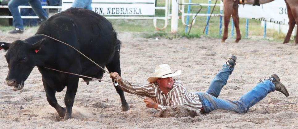 The Wild Cow Milking proved to be a bit wild! Tell Spies is drug along in the arena, while looking for assistance from one of his team members to get the rope off the cow. Gerri Peterson