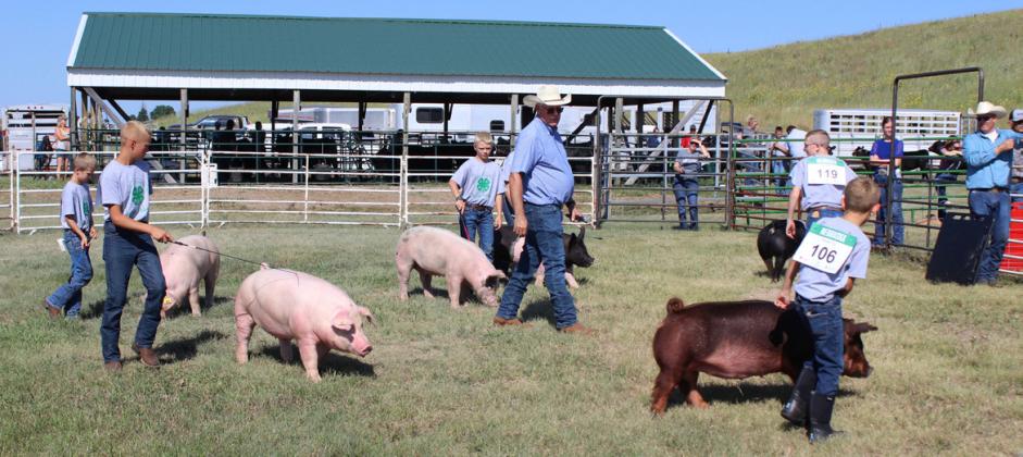 Overall Market Swine class l-r: Ryden Ourada, Teal Peterson, Weston Ourada, Kassidy Cheever (hidden), judge Randy Saner, Oakes Miller and Cooper Phillips.