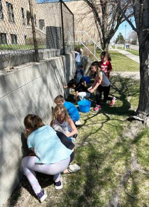 Earth Day clean up at schools