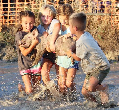 L-r: Addison Mundorf, Ryann Walz, Ryhme Pettit and Brogan Seeley carry their pig to the pig wrestling bucket. Gerri Peterson